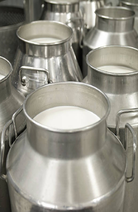 Kanaiya Dairy is the best dairy in bharuch